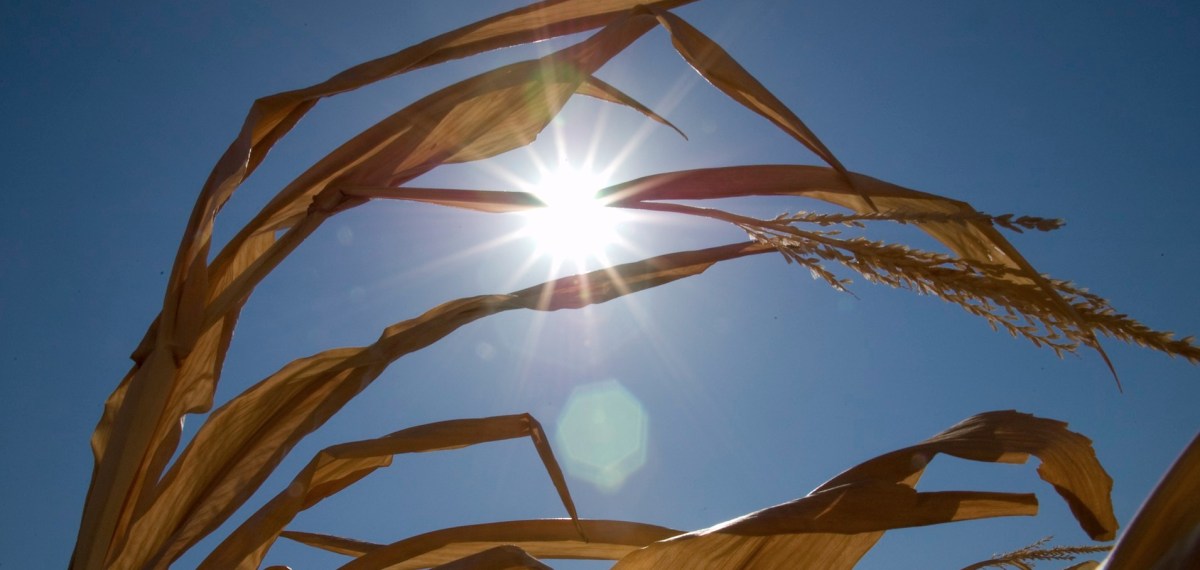 The future of journalism is reader-supported. How will that work in rural&nbsp;Texas?